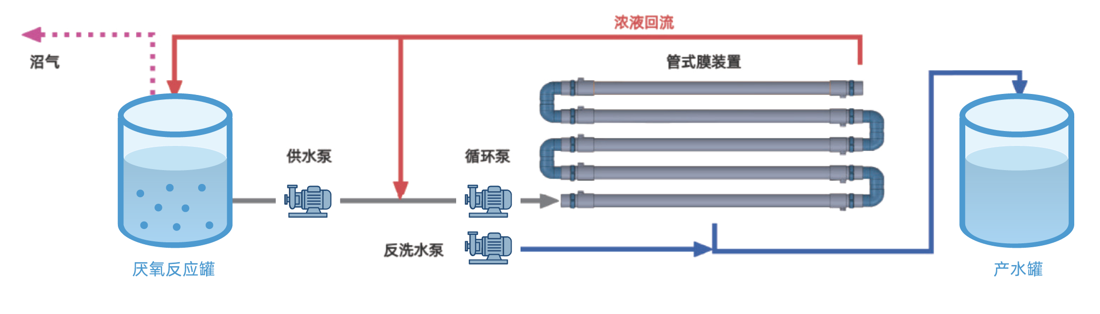 厌氧反应器、外置式管式膜循环、膜产水、浓缩污泥回流与沼气回收流程示意